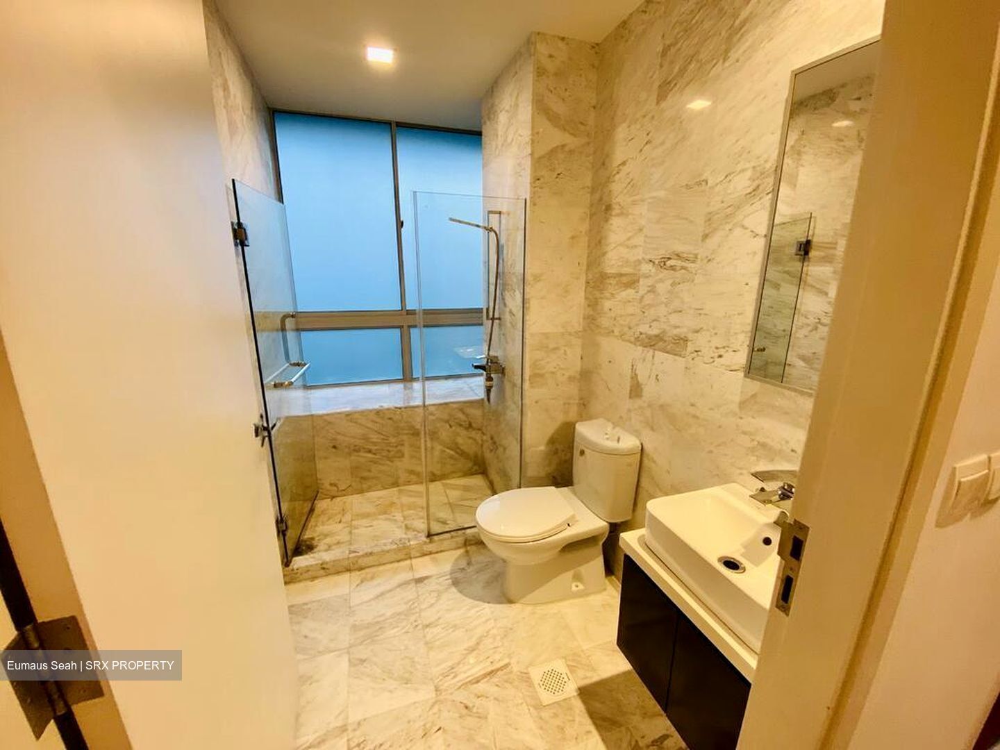 Zenith (D10), Apartment #521839041